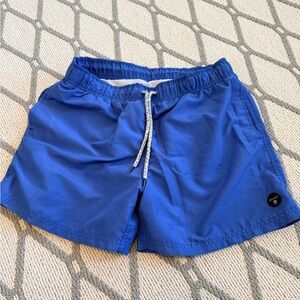 Vibrant Blue Swim Shorts for Men